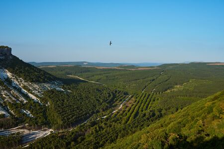 Beautiful views of the mountains and hills covered with vegetation. Green valley between the...