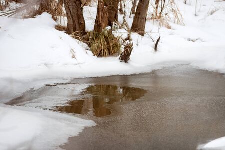 Little pond in a winter park. Non-freezing creek. The shores are covered with snow. Winter landscapeの写真素材