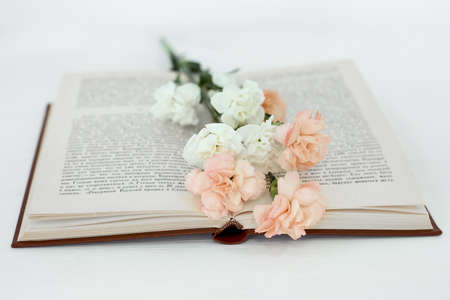 Open book and bouquet of carnation flowers on light background. Reading concept. Top viewの写真素材