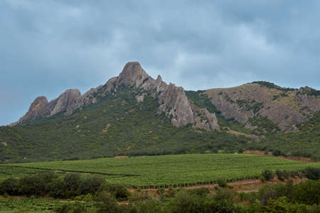 Dramatic mountain landscape. Vineyards in the mountains. Bad weather, thunderclouds in the skyの写真素材