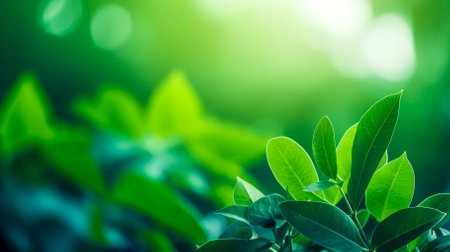 Close up of nature view green leaf on blurred greenery background under sunlight with bokeh and copy space using as background natural plants landscape, ecology wallpaper conceptの素材