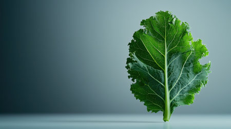 A leafy green vegetable is the main focus of the image. The leaf is large and has a unique shape, with a pointed tip and a slightly curved stem. The background is a light blue colorの素材