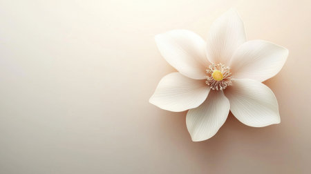A graceful white flower with soft petals blooms against a light, calm background. The intricate details of the flower's center enhance its serene and elegant appearance.の素材