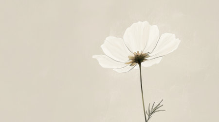 A single white flower towers gracefully against a gentle beige background, capturing a moment of beauty and simplicity, evoking a sense of calm and tranquility.の素材