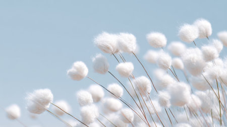 Delicate white flowers resembling cotton bloom gracefully against a clear blue sky. The scene captures a peaceful spring day filled with soft light and tranquility.の素材