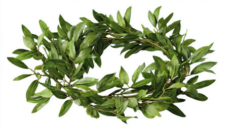 A beautiful laurel wreath made of fresh green leaves rests on a soft surface representing honor and achievement.の素材
