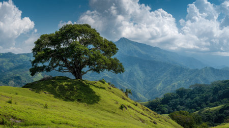 A grand tree stands on a hill surrounded by lush greenery and distant mountains under a bright sky.の素材
