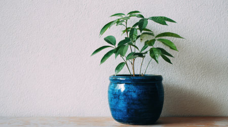 A vibrant green plant sits in a blue pot adding life to a cozy indoor setting.の素材