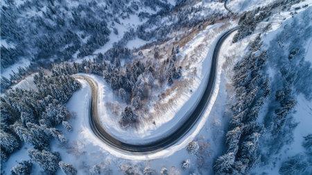 Snow blankets the forest as a road curves elegantly through the winter wonderland.の素材