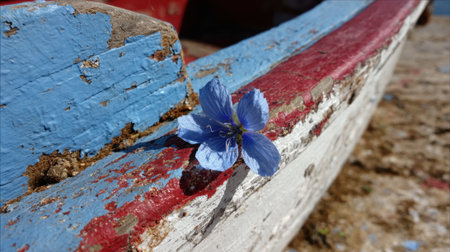 A fragile blue flower adorns a colorful aged boat near the sandy beach capturing a moment of natural beauty.の素材
