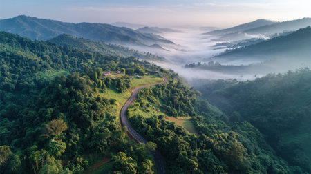 A mountain range with a winding road that is surrounded by trees. The sky is cloudy and the sun is not visibleの素材