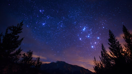 Bright stars fill the night sky above a beautiful mountain range. Constellations shine vividly creating a stunning view framed by dark tree silhouettes.の素材
