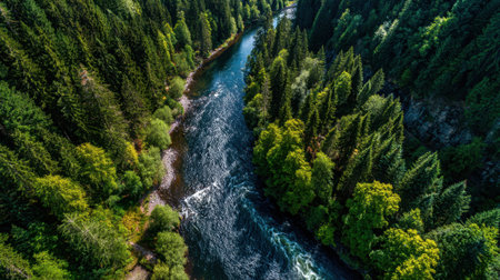 A river with trees on both sides. The water is clear and calm. The trees are green and lush. The sky is blue and clearの素材