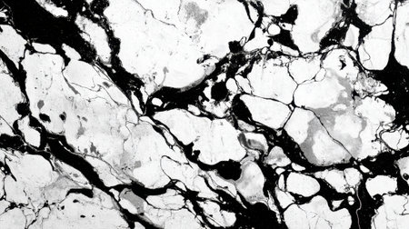 This striking surface reveals beautiful black and white marble patterns full of intricate designs.の素材