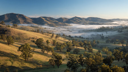 Morning light casts a warm glow over misty valleys bringing out lush greenery and rolling hills.の素材