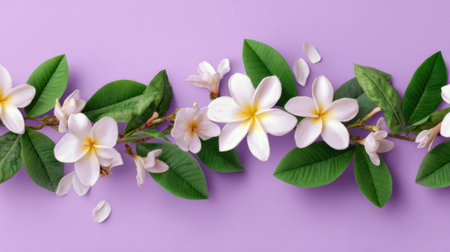 A lovely display of white flowers and lush green leaves stretches across a soft purple background, capturing the essence of spring. Petals add a touch of charm to the scene.の素材