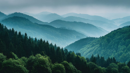Lush green mountains stretch into the distance shrouded in mist and mystery during early morning light.の素材