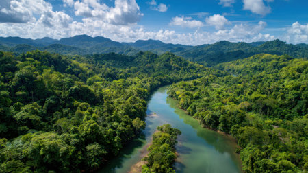 A lush green forest with a river running through it. The sky is clear and blue, and the mountains in the background add to the serene atmosphereの素材