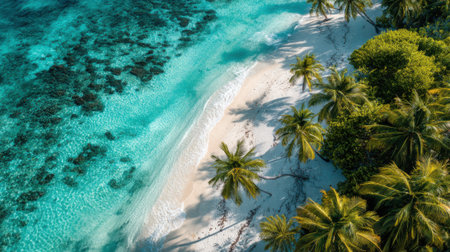 Calm tropical beach scene features soft white sand turquoise water and swaying palm trees under bright sunlight. Ideal for relaxation and nature lovers.の素材