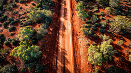 A winding dirt road cuts through a vibrant outback landscape surrounded by lush green trees. The sun casts golden light over the red soil creating a serene atmosphere.の素材