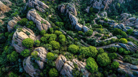Stunning rocky hills surrounded by vibrant green trees. The landscape captures the beauty of nature showing unique rock formations and diverse vegetation during daylight.の素材