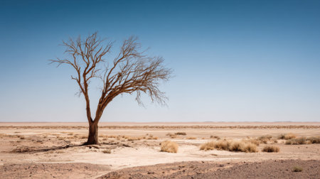 A lonely tree with no leaves stands in a dry desert terrain. The expansive landscape features sandy ground and sparse vegetation under a bright blue sky during midday.の素材