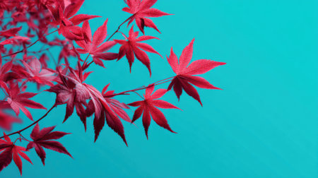 Bright red maple leaves showcase their vivid hues against a turquoise background in a serene autumn setting. The colors create a striking visual contrast, enhancing natural beauty.の素材