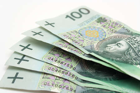 Close-up on Polish money.