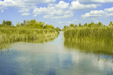 Danube under the blue skyの写真素材