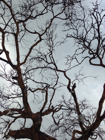 Glow in the darkの素材