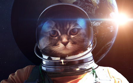 Astronaut cat in outer space against the backdrop of the planet earth.