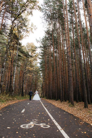 The couple walks along the road in the autumn forest.の写真素材