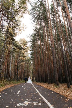 Bride and groom on the road in the autumn forest. High quality photoの写真素材