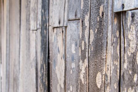 wood wallの写真素材