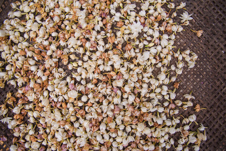 dried jasmineの写真素材