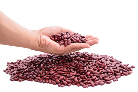 kidney beans on white backgroundの写真素材