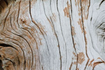 wood texture,backgroundの写真素材