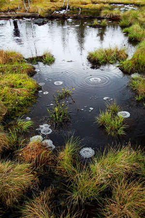 Moffette, small lake with bubbles, geology