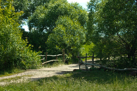 Bridge on a rural road, across the river Udyの写真素材