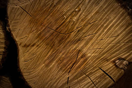 Background image, firewood, woodの写真素材
