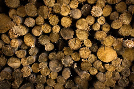 Background image, firewood, woodの写真素材