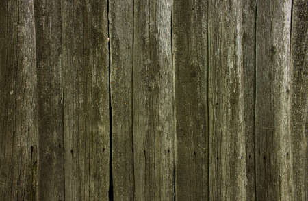 tree. background image. The texture of the board.の写真素材