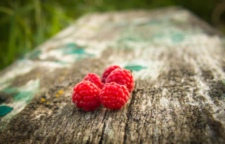 Fresh, juicy raspberries.の写真素材