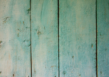 tree. background image. The texture of the board.の写真素材