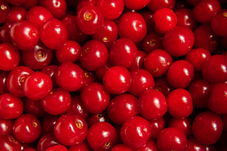Red cherry berries, backgroundの写真素材