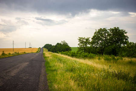 Road with a dark rainy sky.の写真素材