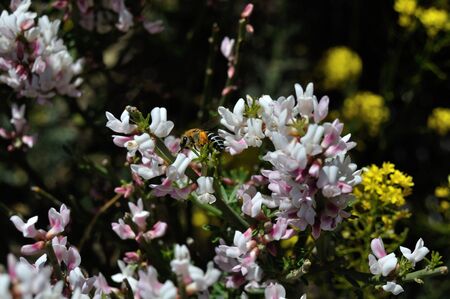 whitenessの写真素材