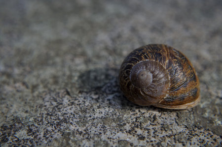 The road is long but with the house on your back you can rest anywhere