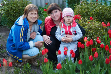 Three generations of of beautiful women portrait sitting together in a tulip field. A happy grandmother with her daughter and granddaughter spending time together.の写真素材