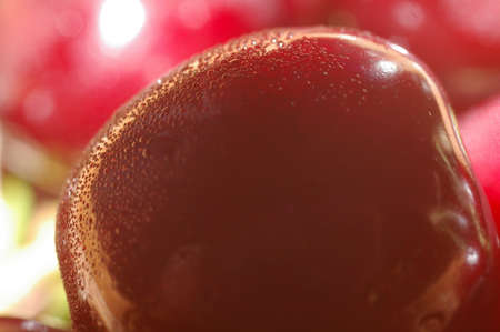 One red sweet cherry fruit with drops of dew close up macroの写真素材